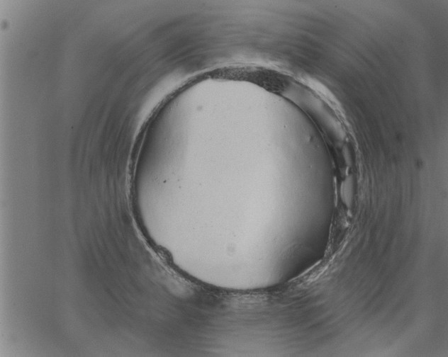 X0000066531183200603311812