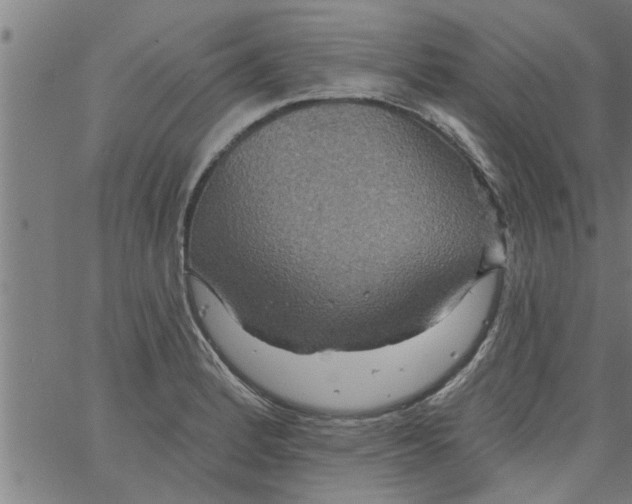 X0000066531184200603311812