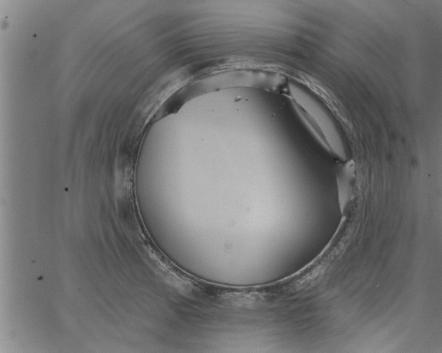 X0000066531185200603311812