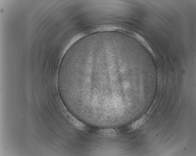 X0000066531186200603311812