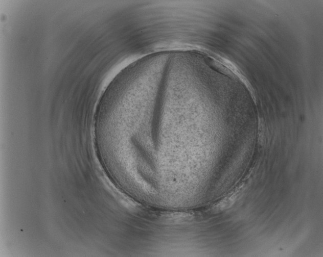 X0000066531187200603311812