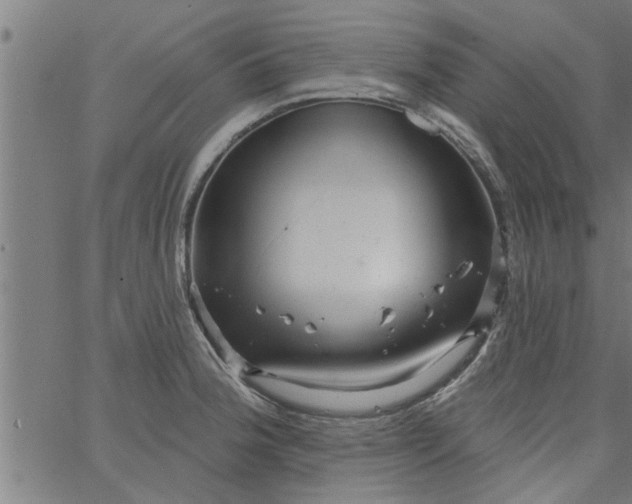 X0000066531188200603311812