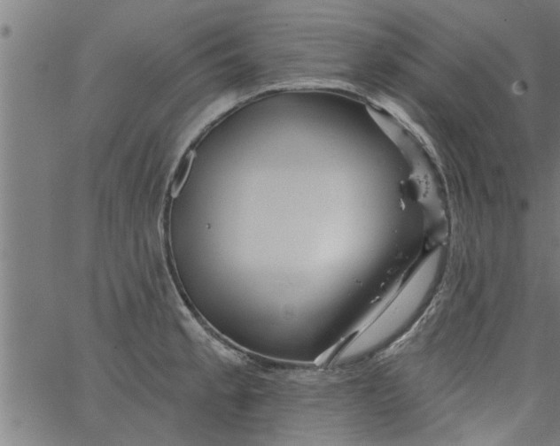 X0000066531189200603311812