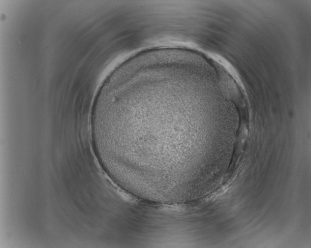 X0000066531191200603311812