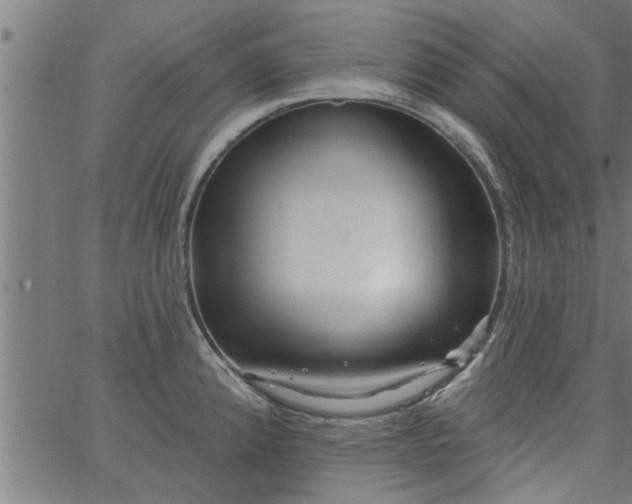 X0000066531192200603311812