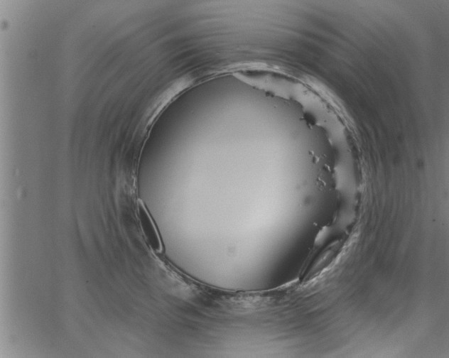 X0000066531193200603311812