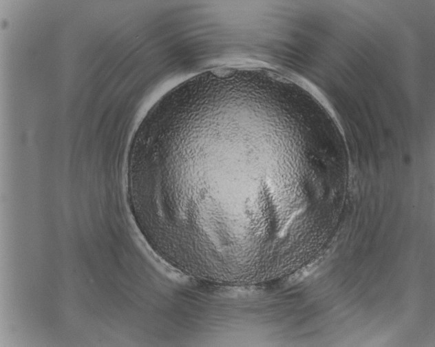 X0000066531195200603311812