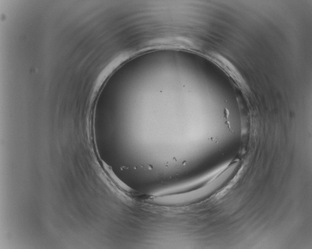 X0000066531196200603311812