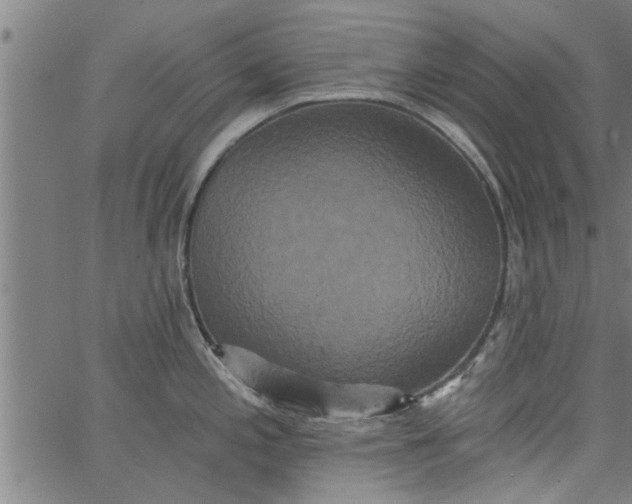 X0000066531197200603311812