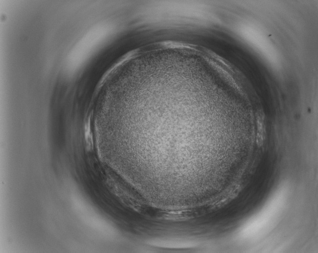 X0000066531198200603311812