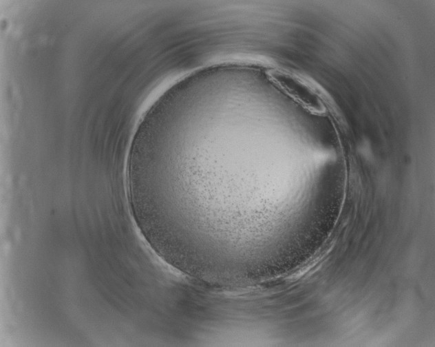 X0000066531199200603311812