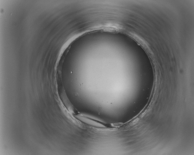 X0000066531200200603311812