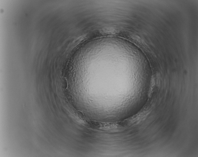 X0000066531201200603311811