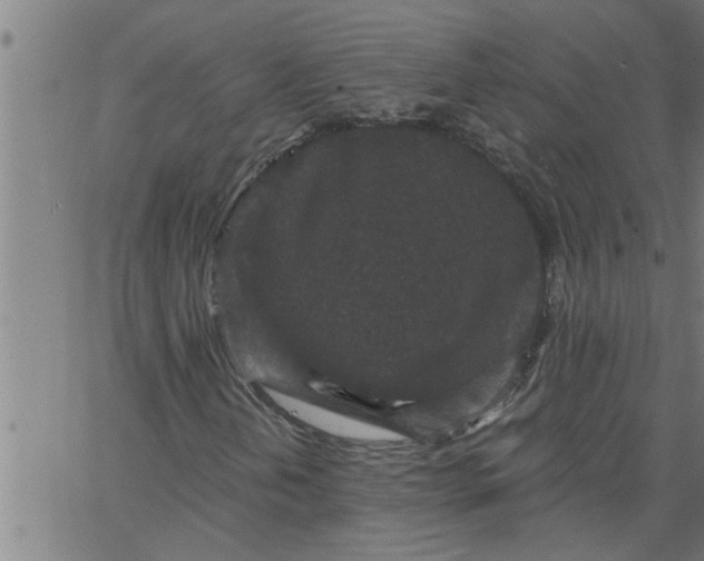 X0000066531202200603311811