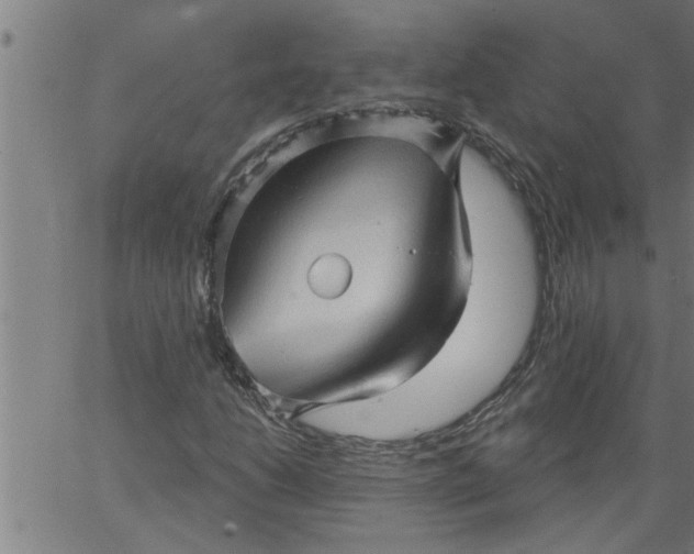 X0000066531206200603311811