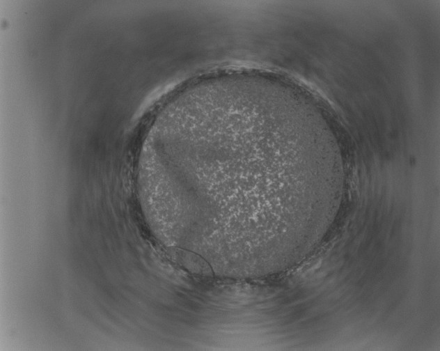 X0000066531207200603311811