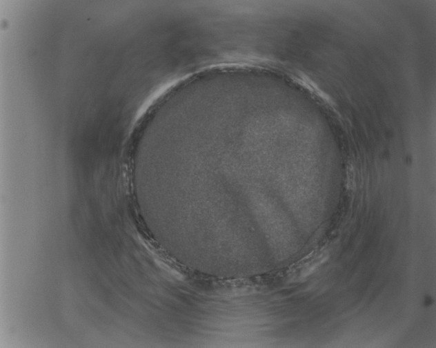 X0000066531208200603311811