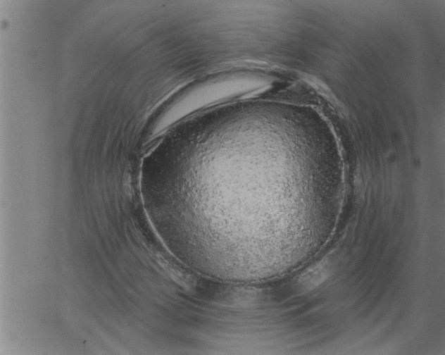 X0000066531209200603311811