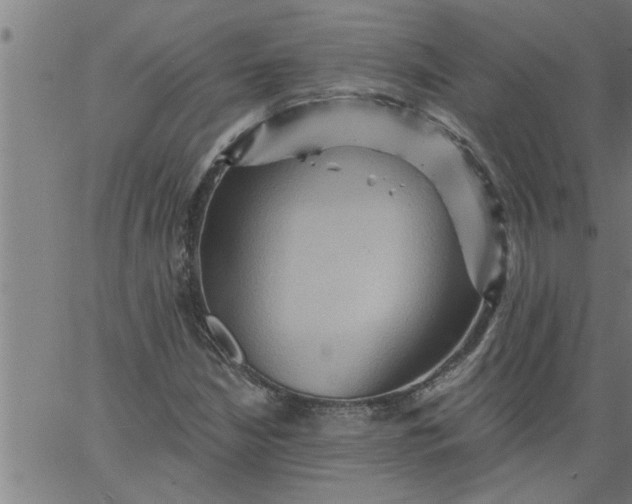 X0000066531210200603311811