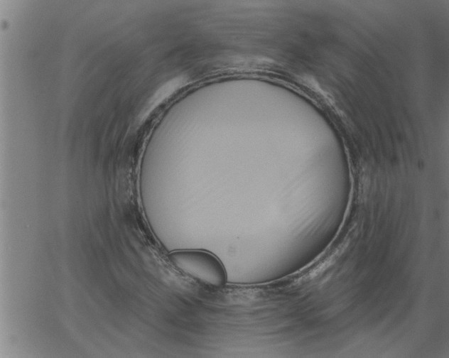 X0000066531211200603311811