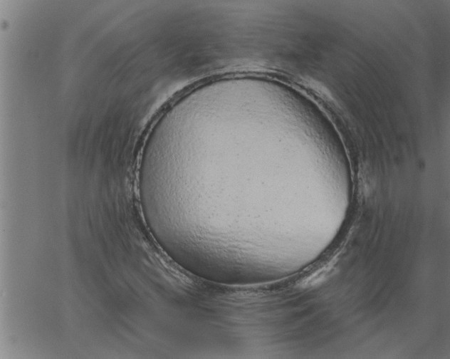 X0000066531212200603311811