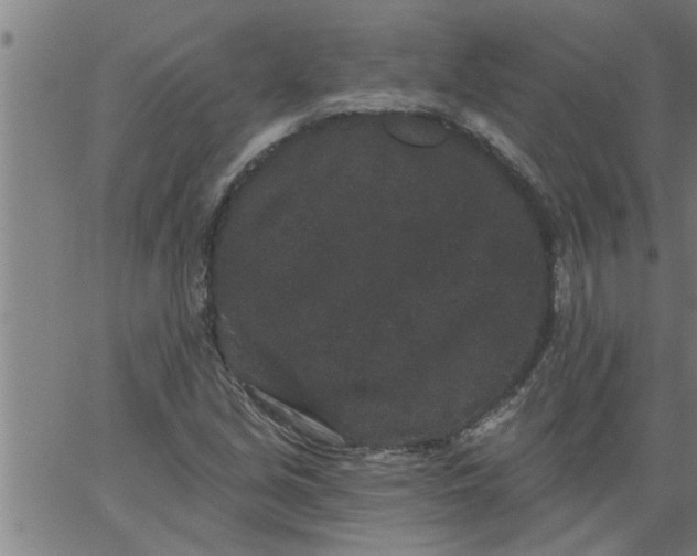 X0000066531213200603311811