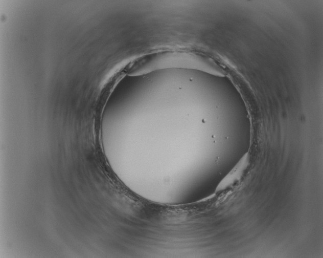 X0000066531214200603311811