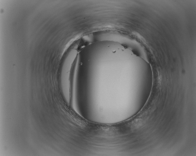 X0000066531218200603311811