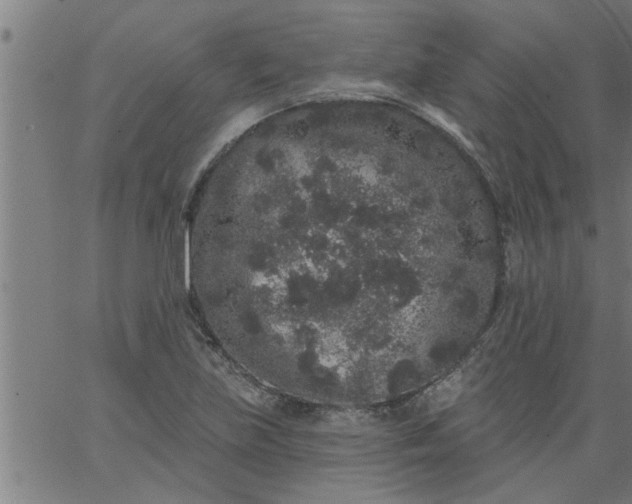 X0000066531219200603311811