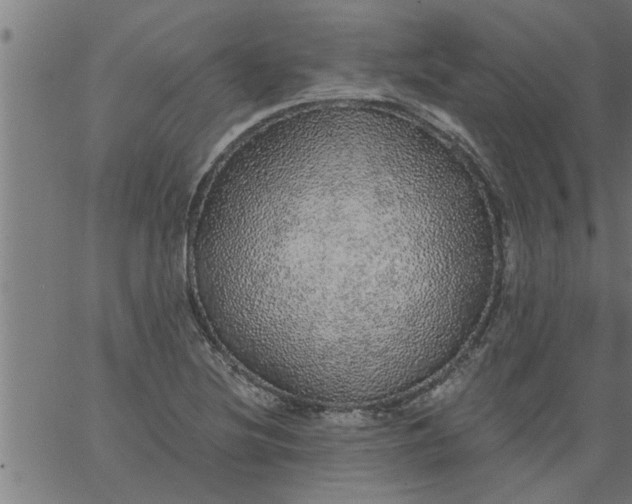 X0000066531220200603311811