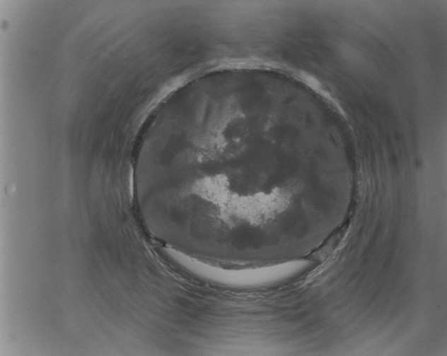 X0000066531221200603311811