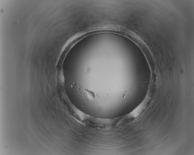 X0000066531222200603311811