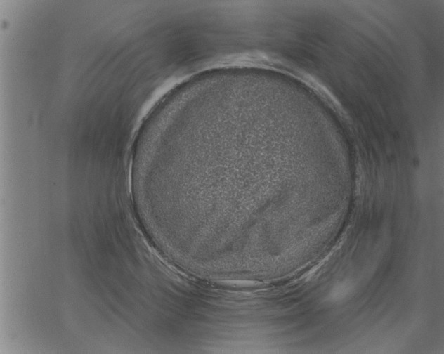 X0000066531224200603311811