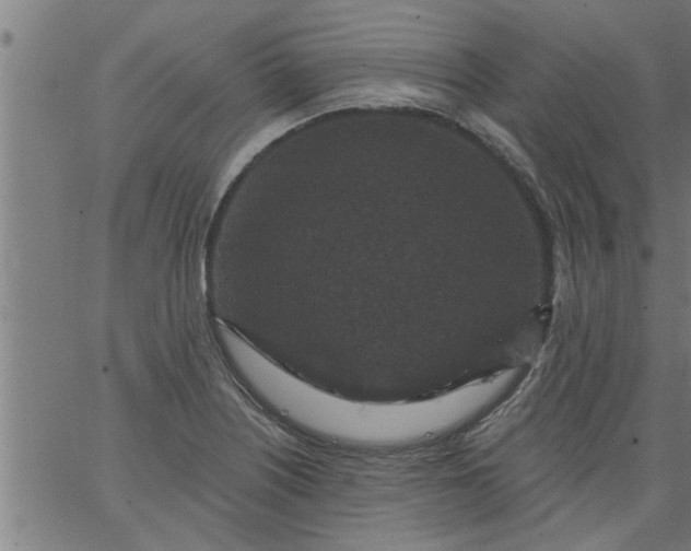 X0000066531226200603311812