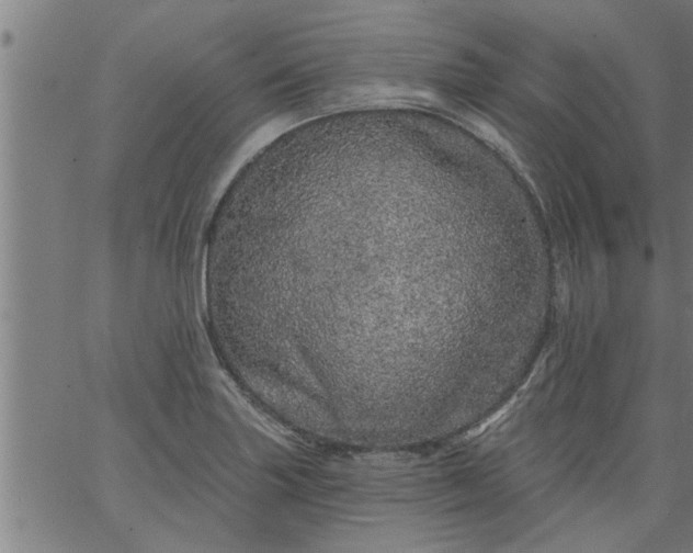 X0000066531227200603311812