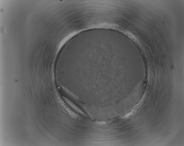 X0000066531230200603311812