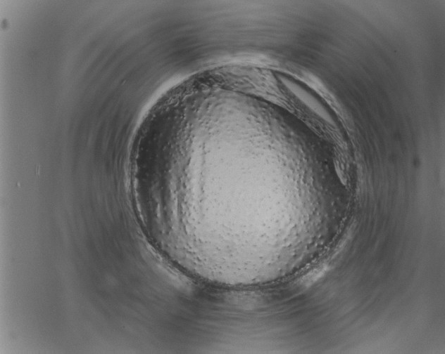 X0000066531232200603311812