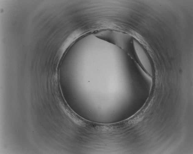 X0000066531234200603311812