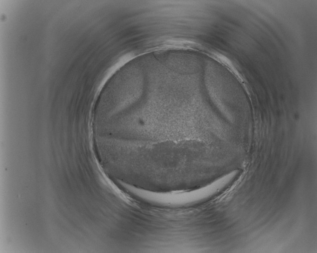 X0000066531235200603311812