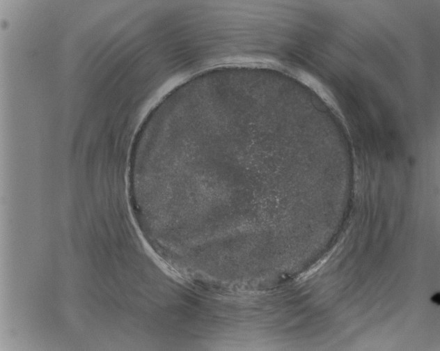 X0000066531237200603311812