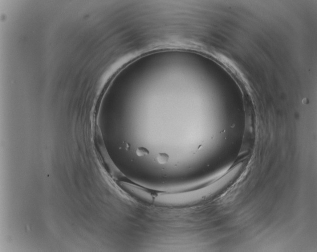 X0000066531238200603311812