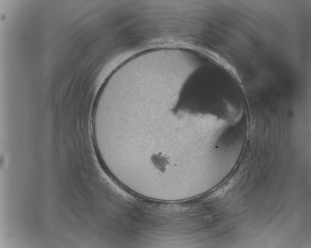 X0000066531239200603311812