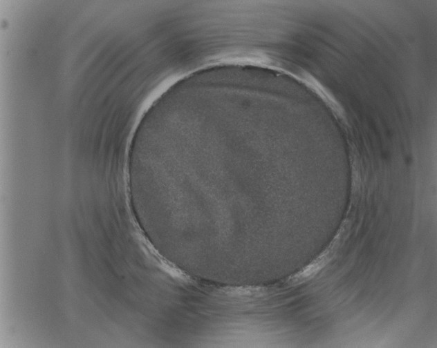 X0000066531240200603311812