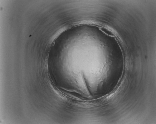 X0000066531241200603311812