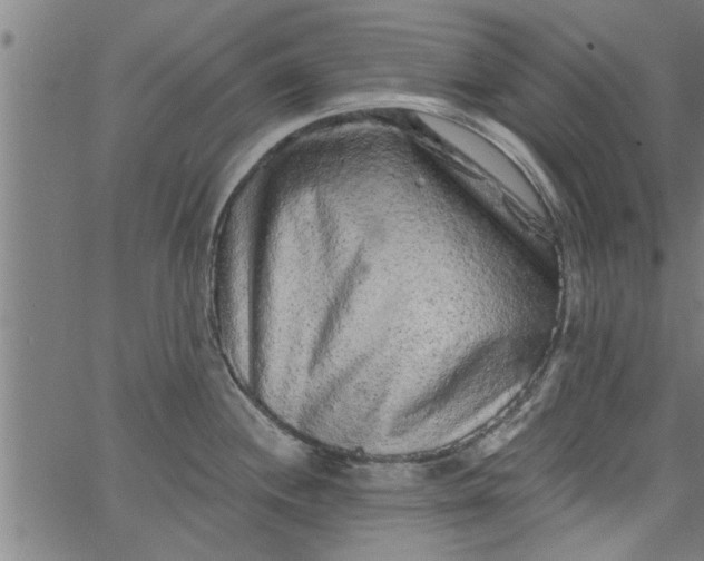 X0000066531244200603311812