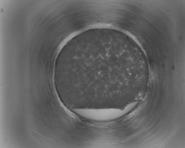 X0000066531245200603311812