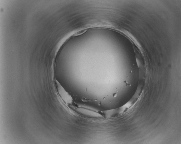 X0000066531246200603311812