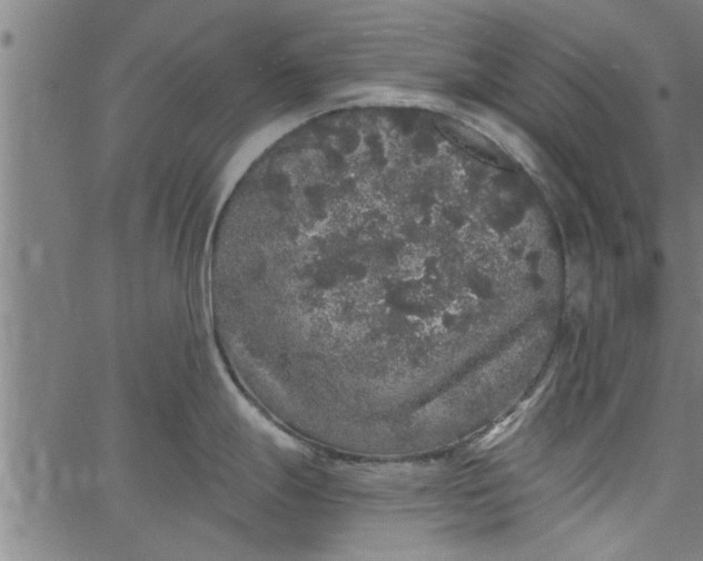 X0000066531247200603311812