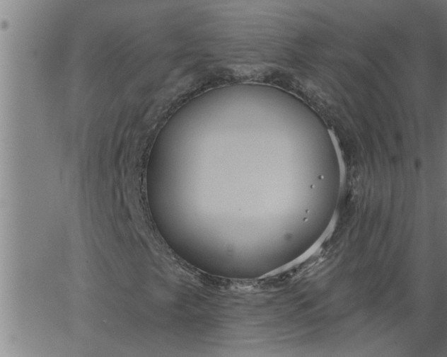 X0000066531249200603311811