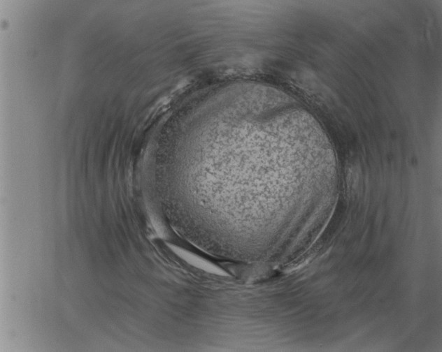 X0000066531250200603311811